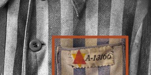 imagen del curso Holocausto, historia de un genocidio